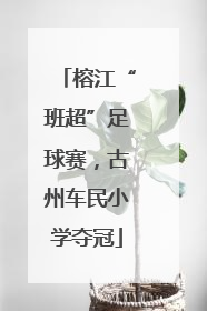 榕江“班超”足球赛，古州车民小学夺冠