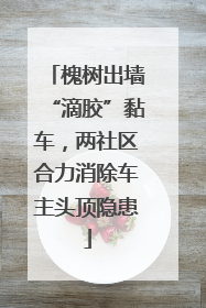 槐树出墙“滴胶”黏车，两社区合力消除车主头顶隐患