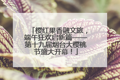 樱红果香融文旅，端午狂欢启新篇——第十九届烟台大樱桃节盛大开幕！