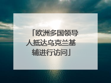 欧洲多国领导人抵达乌克兰基辅进行访问