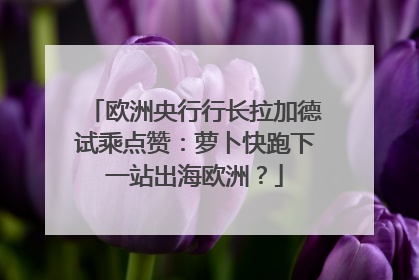 欧洲央行行长拉加德试乘点赞：萝卜快跑下一站出海欧洲？