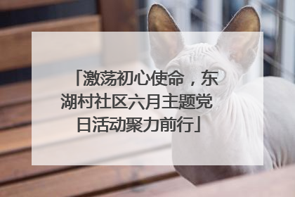 激荡初心使命，东湖村社区六月主题党日活动聚力前行