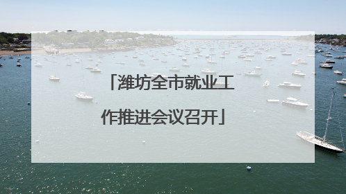 潍坊全市就业工作推进会议召开