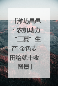 潍坊昌邑：农机助力“三夏”生产 金色麦田绘就丰收图景