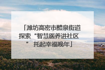 潍坊高密市醴泉街道探索“智慧医养进社区” 托起幸福晚年