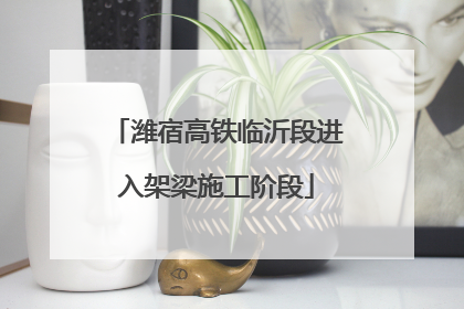 潍宿高铁临沂段进入架梁施工阶段