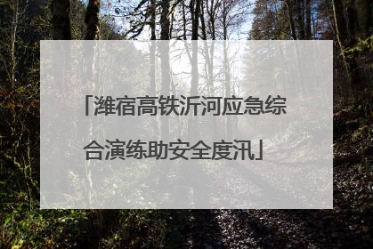 潍宿高铁沂河应急综合演练助安全度汛