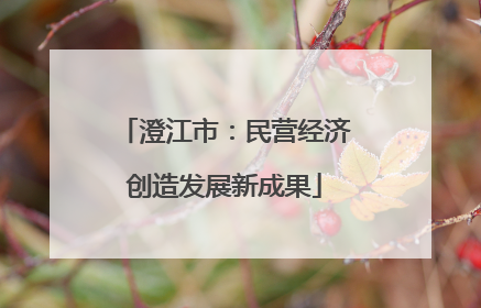 澄江市：民营经济创造发展新成果