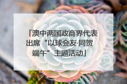 澳中两国政商界代表出席“以球会友·同贺端午”主题活动