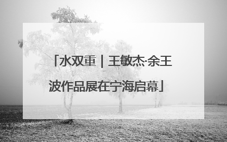 水双重｜王敏杰·余王波作品展在宁海启幕