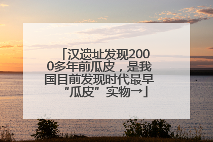 汉遗址发现2000多年前瓜皮，是我国目前发现时代最早“瓜皮”实物→
