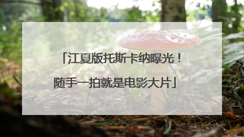 江夏版托斯卡纳曝光！随手一拍就是电影大片
