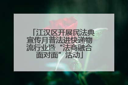 江汉区开展民法典宣传月普法进快递物流行业暨“法商融合面对面”活动