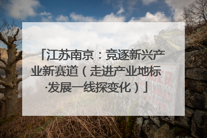 江苏南京：竞逐新兴产业新赛道（走进产业地标·发展一线探变化）