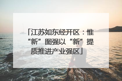 江苏如东经开区：惟“新”图强以“新”提质推进产业强区