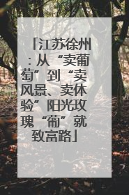 江苏徐州：从“卖葡萄”到“卖风景、卖体验”阳光玫瑰“葡”就致富路