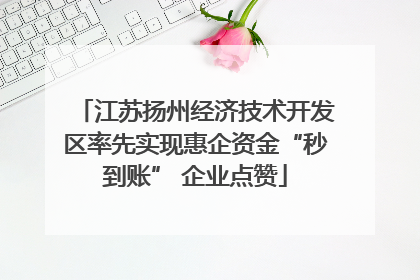 江苏扬州经济技术开发区率先实现惠企资金“秒到账” 企业点赞