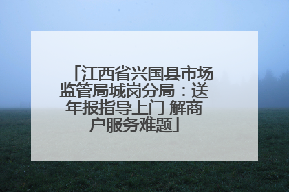 江西省兴国县市场监管局城岗分局：送年报指导上门 解商户服务难题