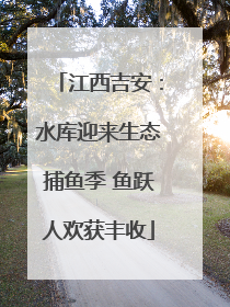 江西吉安：水库迎来生态捕鱼季 鱼跃人欢获丰收