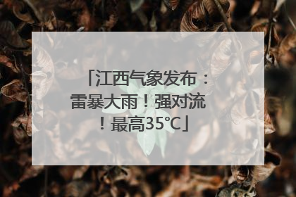 江西气象发布：雷暴大雨！强对流！最高35℃