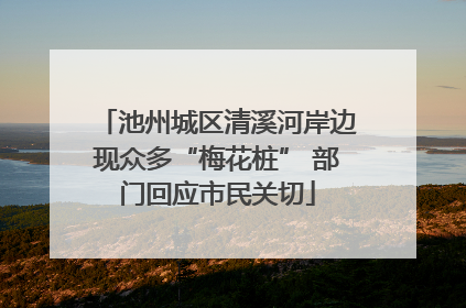 池州城区清溪河岸边现众多“梅花桩” 部门回应市民关切