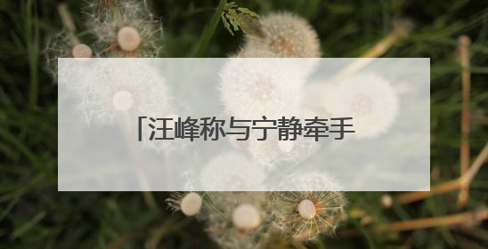 汪峰称与宁静牵手是节目需要，深夜晒出女友森林北合照：我俩好着呢！