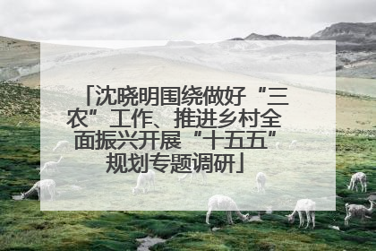 沈晓明围绕做好“三农”工作、推进乡村全面振兴开展“十五五”规划专题调研