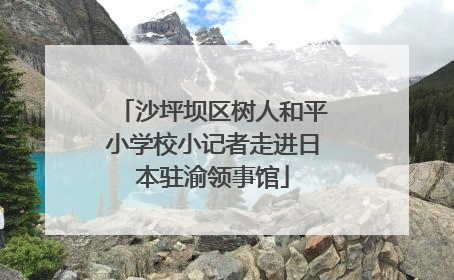 沙坪坝区树人和平小学校小记者走进日本驻渝领事馆