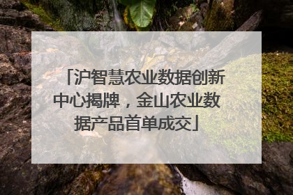 沪智慧农业数据创新中心揭牌，金山农业数据产品首单成交
