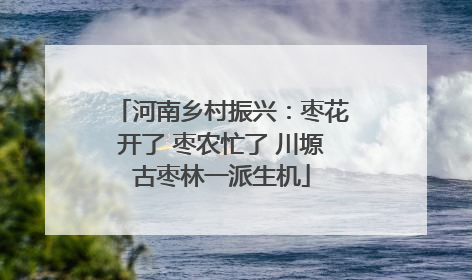 河南乡村振兴：枣花开了 枣农忙了 川塬古枣林一派生机