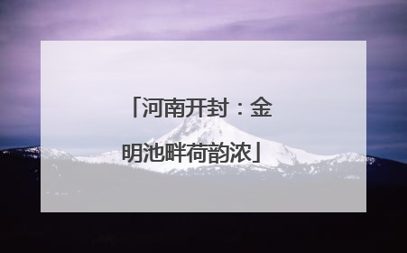 河南开封：金明池畔荷韵浓