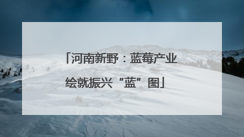 河南新野：蓝莓产业绘就振兴“蓝”图