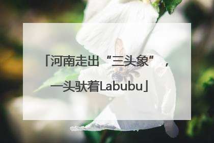 河南走出“三头象”，一头驮着Labubu