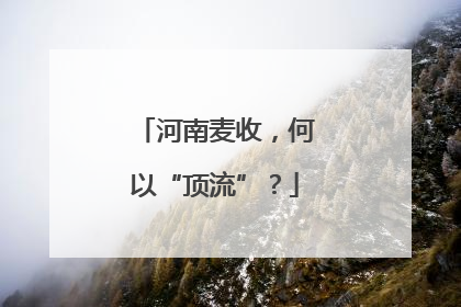 河南麦收，何以“顶流”？