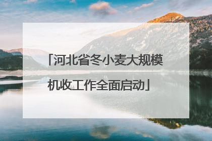 河北省冬小麦大规模机收工作全面启动