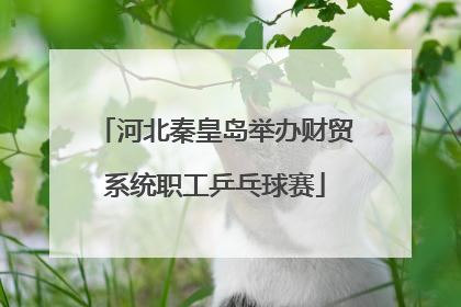 河北秦皇岛举办财贸系统职工乒乓球赛