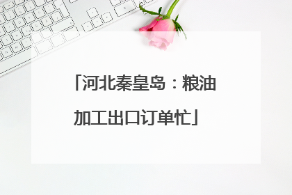 河北秦皇岛：粮油加工出口订单忙