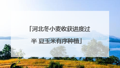 河北冬小麦收获进度过半 夏玉米有序种植