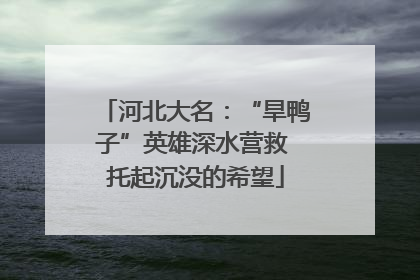 河北大名：“旱鸭子”英雄深水营救 托起沉没的希望