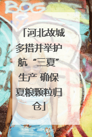 河北故城多措并举护航“三夏”生产 确保夏粮颗粒归仓