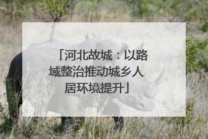 河北故城：以路域整治推动城乡人居环境提升