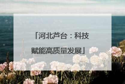 河北芦台：科技赋能高质量发展