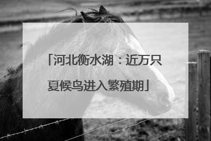 河北衡水湖：近万只夏候鸟进入繁殖期