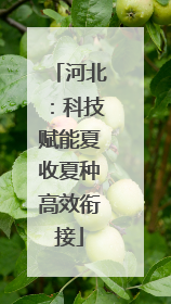 河北：科技赋能夏收夏种高效衔接