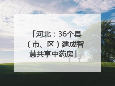 河北：36个县（市、区）建成智慧共享中药房