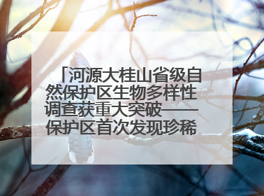 河源大桂山省级自然保护区生物多样性调查获重大突破——保护区首次发现珍稀名贵野生干巴菌与钝尾两头蛇