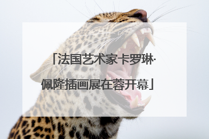 法国艺术家卡罗琳·佩隆插画展在蓉开幕