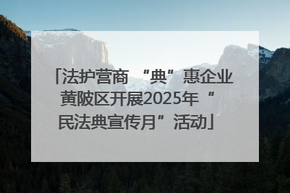 法护营商 “典”惠企业 黄陂区开展2025年“民法典宣传月”活动