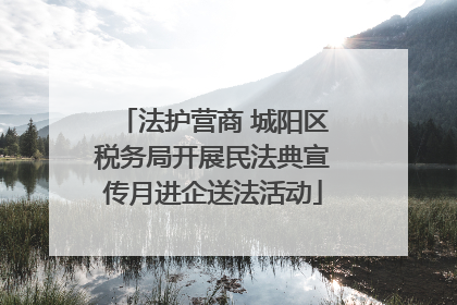 法护营商 城阳区税务局开展民法典宣传月进企送法活动
