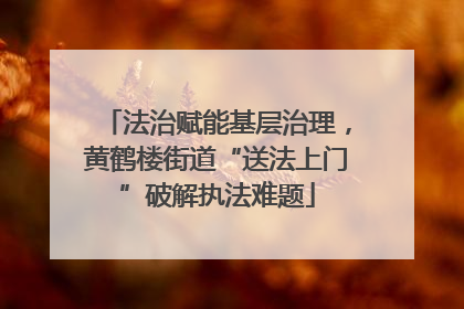 法治赋能基层治理，黄鹤楼街道“送法上门”破解执法难题